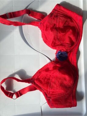 32E Red Lace Underwire Bra with Contrast Accent navy blue